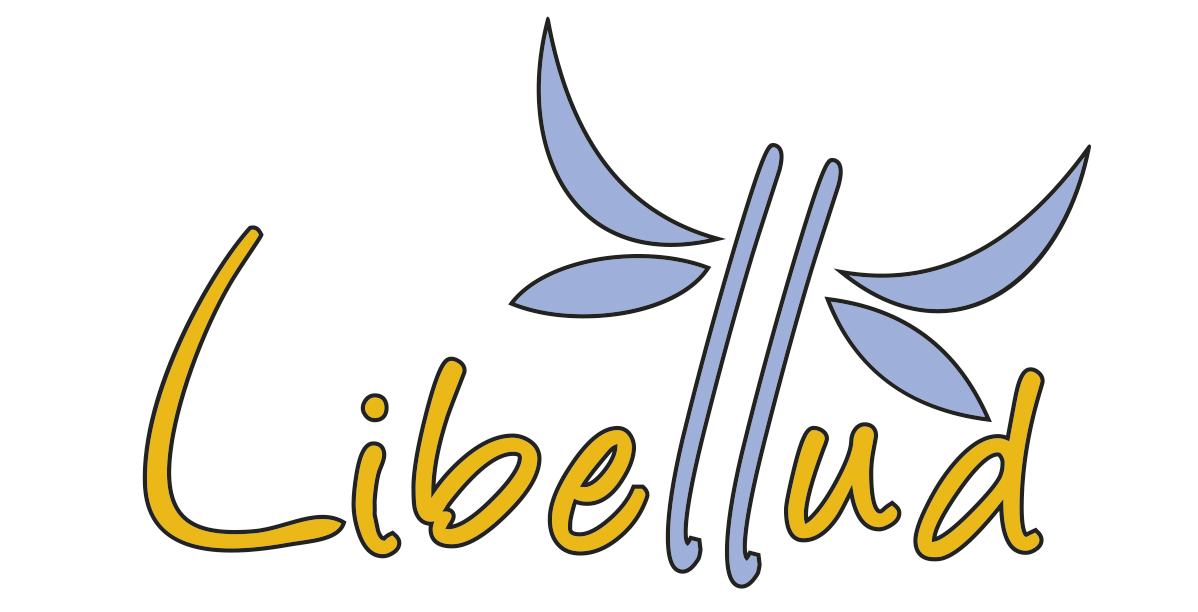 Lire la suite à propos de l’article Libellud soutient Olor’on Joue 2019